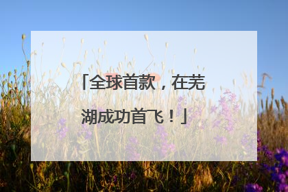 全球首款，在芜湖成功首飞！