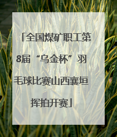 全国煤矿职工第8届“乌金杯”羽毛球比赛山西襄垣挥拍开赛