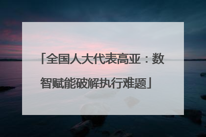 全国人大代表高亚：数智赋能破解执行难题