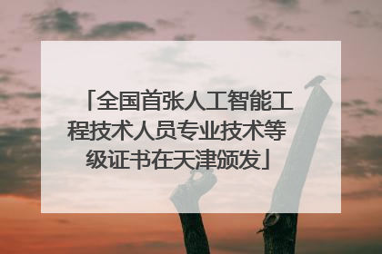 全国首张人工智能工程技术人员专业技术等级证书在天津颁发