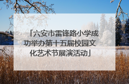 六安市雷锋路小学成功举办第十五届校园文化艺术节展演活动