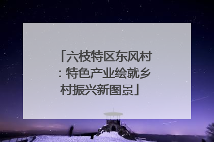 六枝特区东风村：特色产业绘就乡村振兴新图景