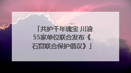 共护千年瑰宝 川渝55家单位联合发布《石窟联合保护倡议》