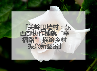 关岭围墙村：东西部协作铺就“幸福路” 描绘乡村振兴新图景