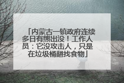 内蒙古一镇政府连续多日有熊出没！工作人员：它没攻击人，只是在垃圾桶翻找食物