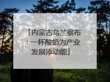 内蒙古乌兰察布：一杯酸奶为产业发展添动能