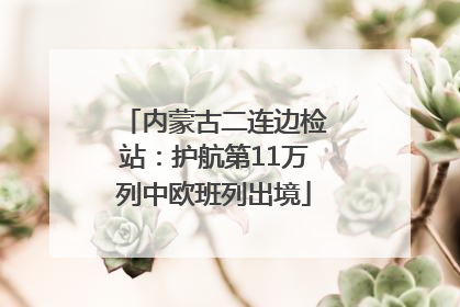 内蒙古二连边检站：护航第11万列中欧班列出境