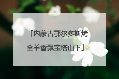 内蒙古鄂尔多斯烤全羊香飘宝塔山下