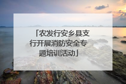 农发行安乡县支行开展消防安全专题培训活动