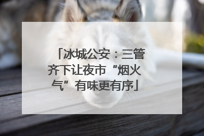 冰城公安：三管齐下让夜市“烟火气”有味更有序