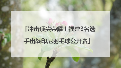 冲击顶尖荣耀！福建3名选手出战印尼羽毛球公开赛