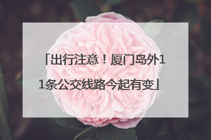 出行注意！厦门岛外11条公交线路今起有变