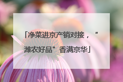 净菜进京产销对接，“潍农好品”香满京华