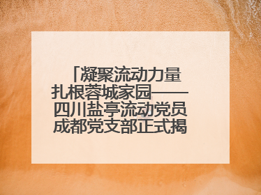 凝聚流动力量 扎根蓉城家园——四川盐亭流动党员成都党支部正式揭牌成立