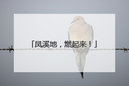 凤溪地，燃起来！