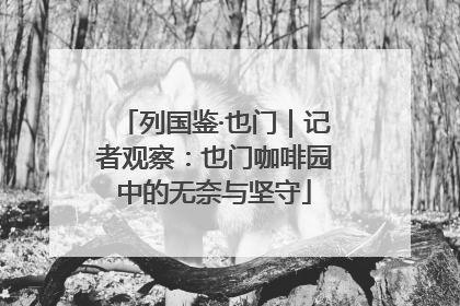 列国鉴·也门｜记者观察：也门咖啡园中的无奈与坚守