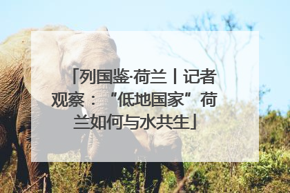 列国鉴·荷兰丨记者观察：“低地国家”荷兰如何与水共生