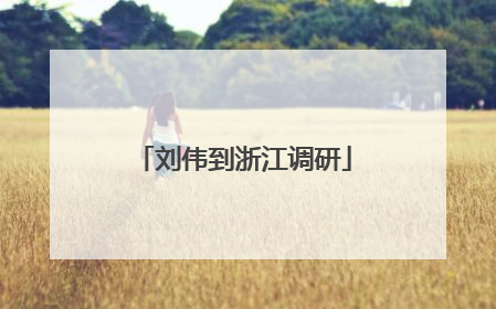 刘伟到浙江调研