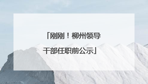 刚刚！柳州领导干部任职前公示