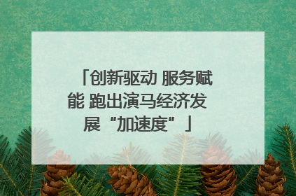 创新驱动 服务赋能 跑出演马经济发展“加速度”