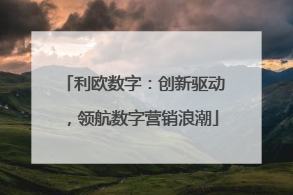 利欧数字：创新驱动，领航数字营销浪潮