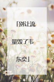 别让流量毁了韦东奕