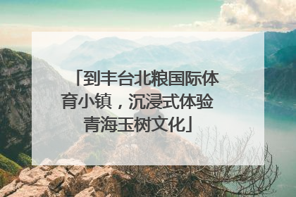 到丰台北粮国际体育小镇，沉浸式体验青海玉树文化