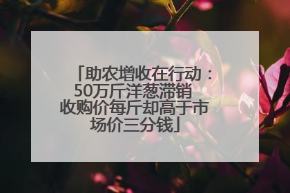 助农增收在行动：50万斤洋葱滞销 收购价每斤却高于市场价三分钱