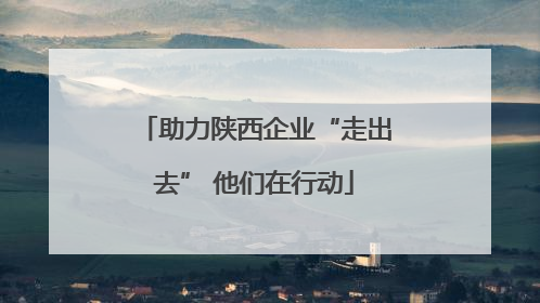 助力陕西企业“走出去” 他们在行动