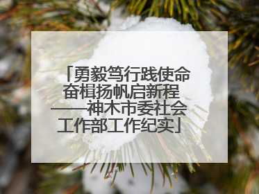 勇毅笃行践使命 奋楫扬帆启新程——神木市委社会工作部工作纪实