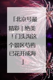 北京号最精彩｜绝美！门头沟这个景区芍药已花开成海