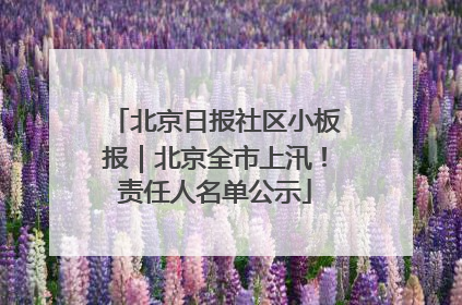 北京日报社区小板报｜北京全市上汛！责任人名单公示