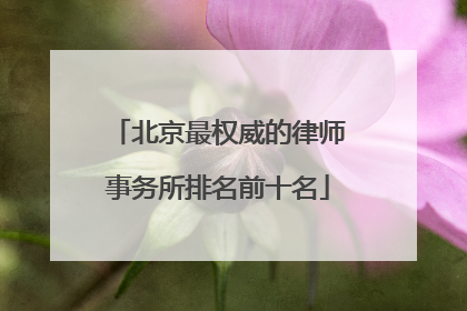 北京最权威的律师事务所排名前十名