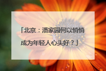 北京：潘家园何以悄悄成为年轻人心头好？