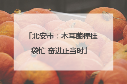 北安市：木耳菌棒挂袋忙 奋进正当时