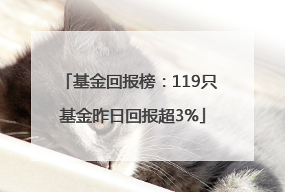 基金回报榜：119只基金昨日回报超3%