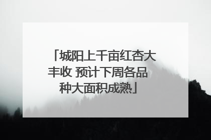 城阳上千亩红杏大丰收 预计下周各品种大面积成熟