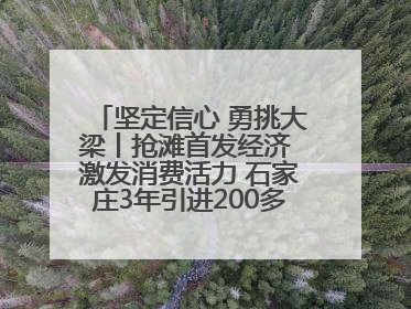 坚定信心 勇挑大梁丨抢滩首发经济 激发消费活力 石家庄3年引进200多家品牌首店