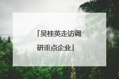 吴桂英走访调研重点企业