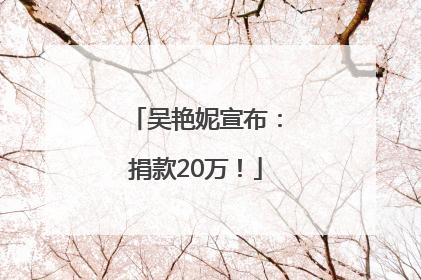 吴艳妮宣布：捐款20万！