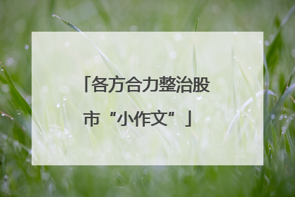 各方合力整治股市“小作文”