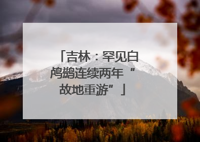 吉林：罕见白鸬鹚连续两年“故地重游”