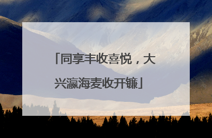 同享丰收喜悦，大兴瀛海麦收开镰