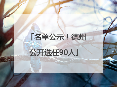 名单公示！德州公开选任90人