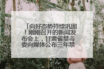向好态势持续巩固！刚刚召开的新闻发布会上，甘肃省禁毒委向媒体公布三年禁毒工作“成绩单”
