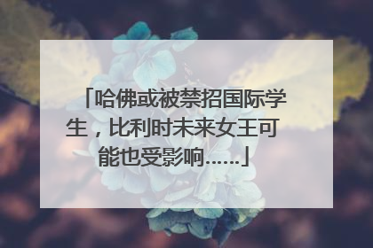 哈佛或被禁招国际学生，比利时未来女王可能也受影响……