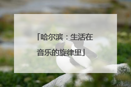 哈尔滨：生活在音乐的旋律里