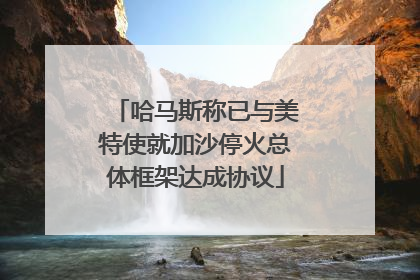 哈马斯称已与美特使就加沙停火总体框架达成协议