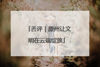 善评｜滕州让文明在云端绽放