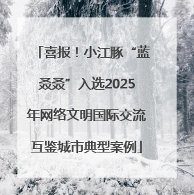 喜报！小江豚“蓝叒叒”入选2025年网络文明国际交流互鉴城市典型案例
